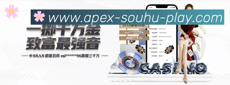 未来规划